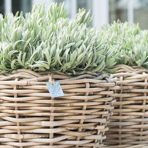 Van der Leeden Mandwerk Van der Leeden Mandwerk