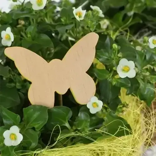 Dillewijn Zwapak Dillewijn Zwapak