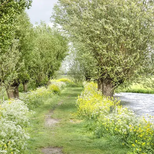 Kooiman HR en Gewoon & Betrokken Arbodiensten Kooiman HR en Gewoon & Betrokken Arbodiensten