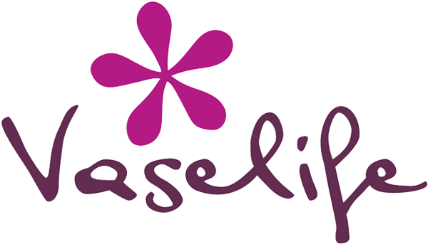 Vaselife Vaselife