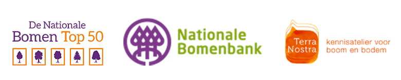 De Nationale Bomen Top 50 De Nationale Bomen Top 50