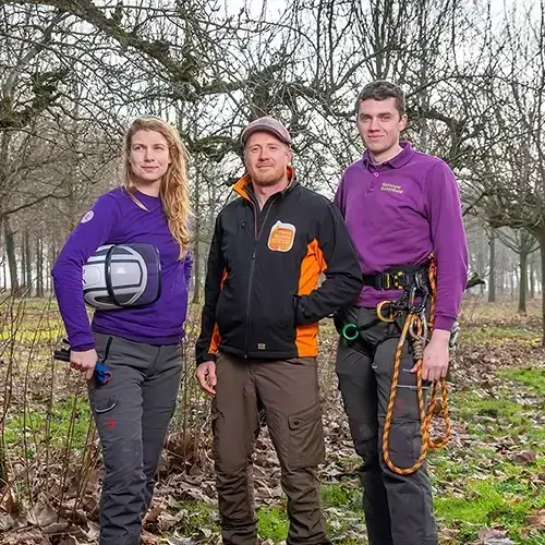 Werken met bomen Werken met bomen
