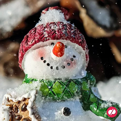 Prettige feestdagen Prettige feestdagen